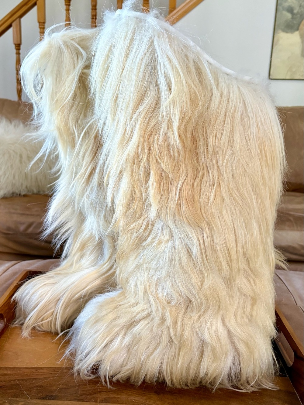 RARE Vintage 1960’s  Italian GOAT Blonde Hair Fur Knee High Apres Boots